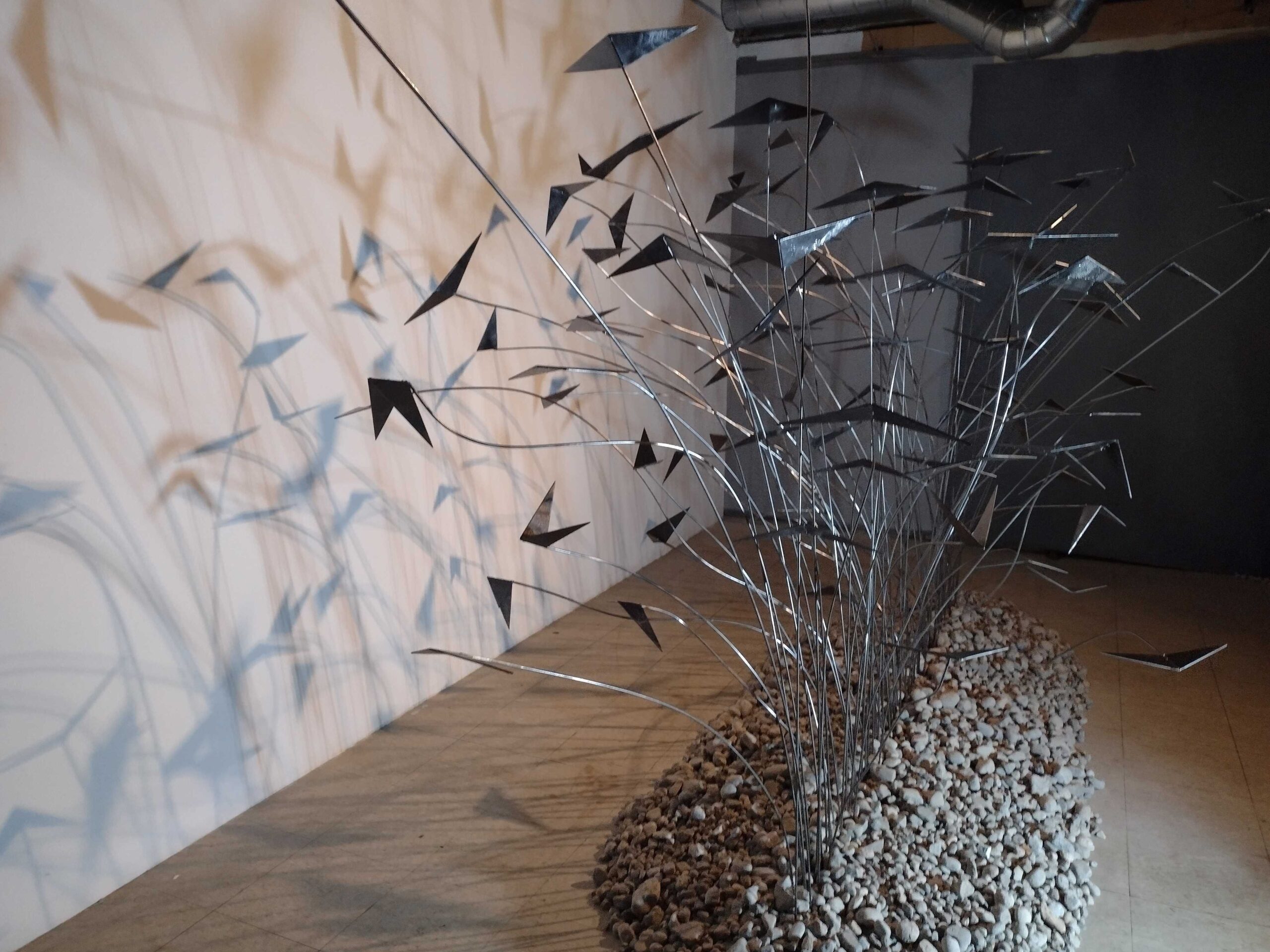 What we are learning from the animals (Murmuration), front view