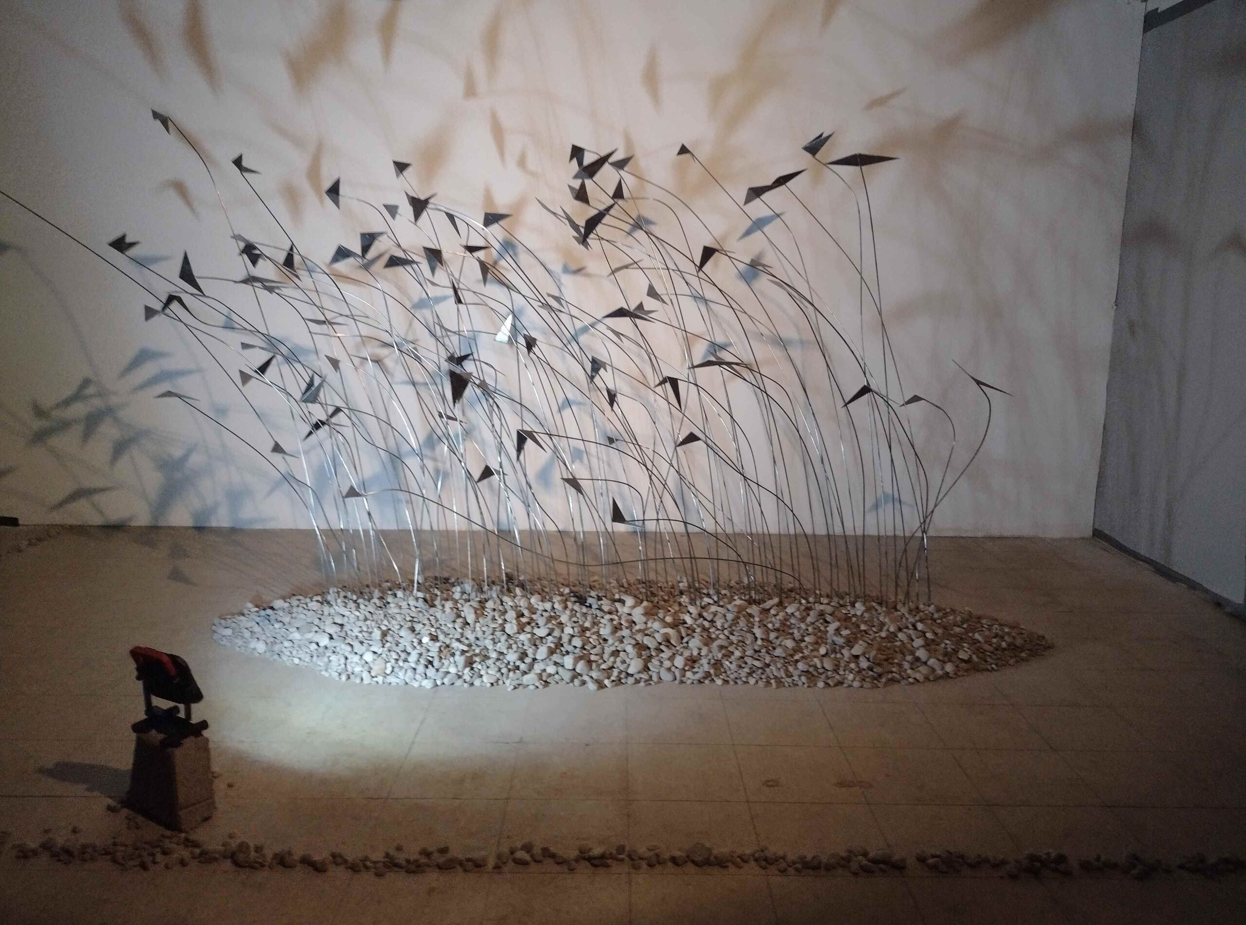 What we are learning from the animals, side view